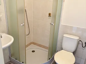 Prodej vily, Liberec - Liberec I-Staré Město, Ruprechtická, 481 m2