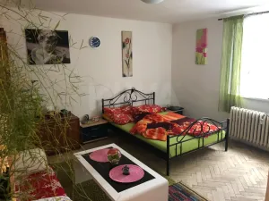 Pronájem bytu 1+1, Horní Slavkov, Dlouhá, 34 m2