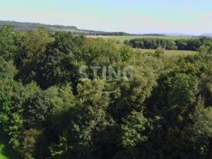 Prodej lesa, Hnojník, 9789 m2