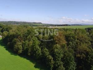 Prodej lesa, Hnojník, 9789 m2