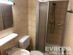 Pronájem bytu 1+kk, Bayerisch Eisenstein, Německo, Bahnhofstrasse, 25 m2