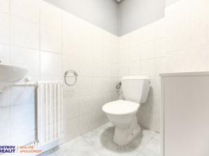 Prodej rodinného domu, Štarnov, 252 m2