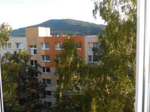 Pronájem bytu 1+1, Prachatice - Prachatice II, Italská, 45 m2