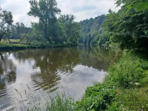 Prodej chaty, Zbečno - Újezd nad Zbečnem, 68 m2