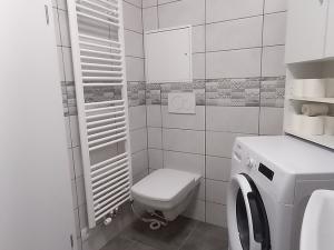 Pronájem bytu 1+kk, Plzeň, Radyňská, 71 m2