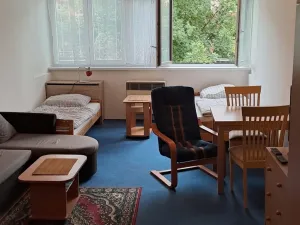 Pronájem bytu 1+kk, Praha - Nusle, U družstva Ideál, 25 m2