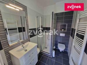 Prodej rodinného domu, Uherské Hradiště, 273 m2