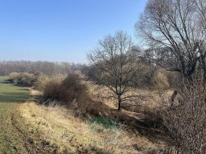 Prodej louky, Praha - Královice, 698 m2