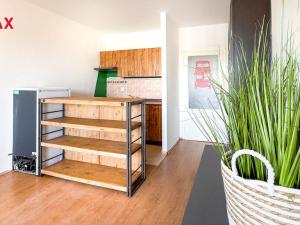Prodej bytu 1+kk, Ostrava - Zábřeh, Čujkovova, 30 m2