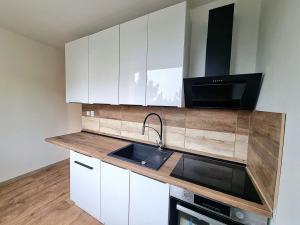 Prodej bytu 2+1, Bílina, Sídliště Za Chlumem, 52 m2