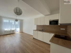 Pronájem bytu 3+kk, Litvínov - Horní Litvínov, Valdštejnská, 52 m2
