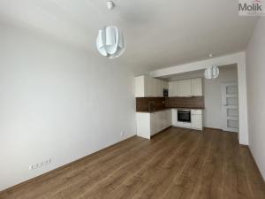 Pronájem bytu 3+kk, Litvínov - Horní Litvínov, Valdštejnská, 52 m2