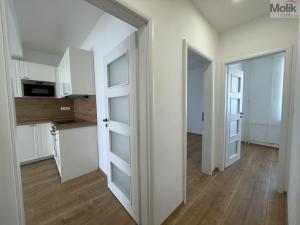 Pronájem bytu 3+kk, Litvínov - Horní Litvínov, Valdštejnská, 52 m2