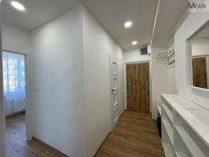 Pronájem bytu 3+kk, Litvínov - Horní Litvínov, Valdštejnská, 52 m2