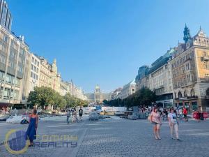 Pronájem obchodního prostoru, Praha - Nové Město, Václavské náměstí, 356 m2