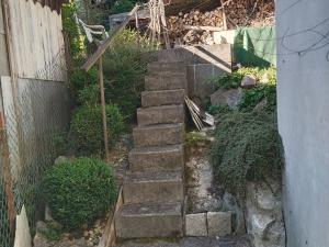 Prodej zahrady, Blovice, 544 m2