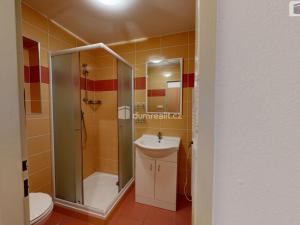 Pronájem bytu 1+kk, Opava - Předměstí, Hauerova, 27 m2