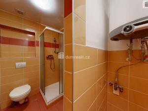Pronájem bytu 1+kk, Opava - Předměstí, Hauerova, 27 m2