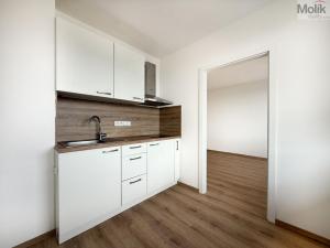 Prodej bytu 1+1, Litvínov - Horní Litvínov, Valdštejnská, 34 m2