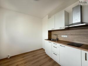 Prodej bytu 1+1, Litvínov - Horní Litvínov, Valdštejnská, 34 m2