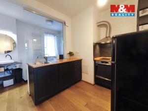 Pronájem bytu 1+1, Praha - Vinohrady, Šafaříkova, 31 m2