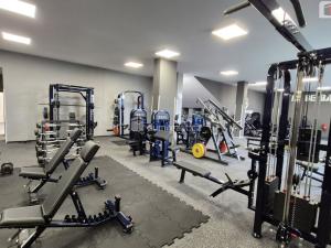 Prodej obchodního prostoru, Plzeň - Bolevec, Plaská, 245 m2