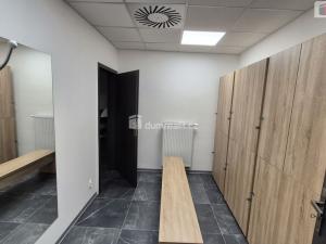 Prodej obchodního prostoru, Plzeň - Bolevec, Plaská, 245 m2