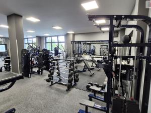 Prodej obchodního prostoru, Plzeň - Bolevec, Plaská, 245 m2