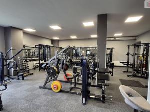 Prodej obchodního prostoru, Plzeň - Bolevec, Plaská, 245 m2