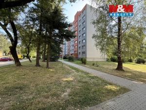 Pronájem bytu 1+1, Karviná - Ráj, Borovského, 42 m2