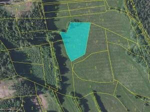 Prodej louky, Neustupov - Královna, 4873 m2