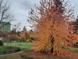 Prodej bytu 2+1, Mohelnice, Ztracená, 55 m2