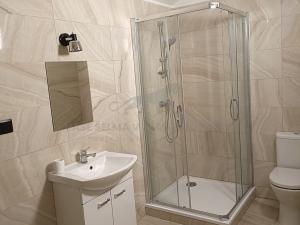 Prodej bytu 1+kk, Broumov, U Horní brány, 70 m2