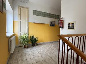 Pronájem kanceláře, Hustopeče, Bratislavská