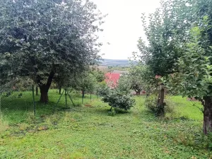 Prodej rodinného domu, Střílky, Hradská, 228 m2