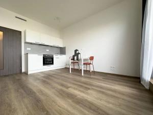 Pronájem bytu 1+kk, Praha - Hloubětín, Kolbenova, 30 m2