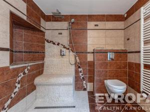 Prodej zemědělské usedlosti, Nové Hrady - Štiptoň, 253 m2