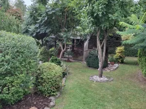 Prodej zemědělské usedlosti, Nové Hrady - Štiptoň, 253 m2