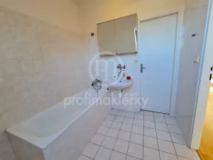 Pronájem bytu 2+kk, Bílovice nad Svitavou, Lesní, 54 m2