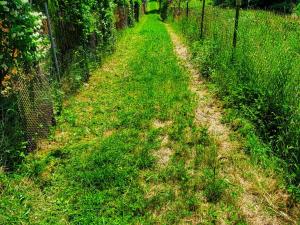 Prodej pozemku pro bydlení, Plzeň, 800 m2