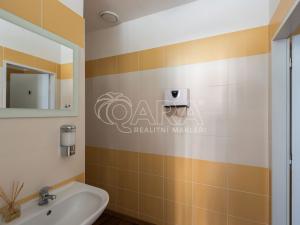 Pronájem obchodního prostoru, Praha - Holešovice, U studánky, 53 m2