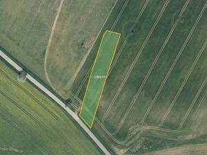 Prodej pole, Malšice, 2469 m2