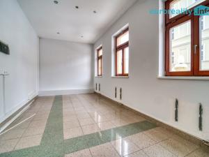 Prodej atypického bytu, Karlovy Vary, Zámecký vrch, 301 m2