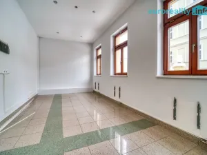 Prodej atypického bytu, Karlovy Vary, Zámecký vrch, 301 m2