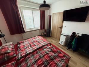 Prodej bytu 2+1, Ústí nad Labem - Klíše, Klíšská, 54 m2