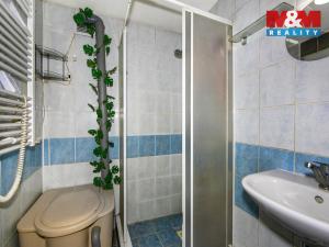 Prodej chaty, Stod, Střelická, 55 m2