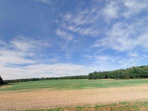 Prodej pole, Louňová, 53797 m2