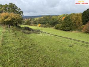 Prodej pole, Netolice, Za Mnichem, 20452 m2