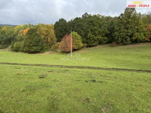 Prodej pole, Netolice, Za Mnichem, 20452 m2