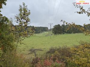 Prodej pole, Netolice, Za Mnichem, 20452 m2